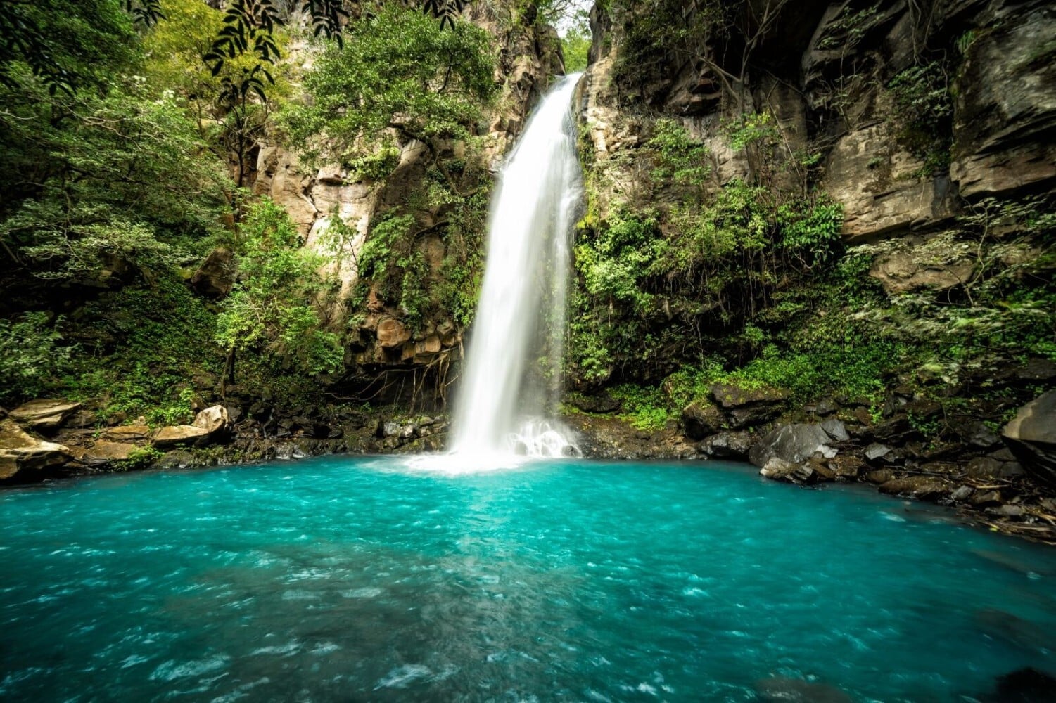 Waterfall pool in the rainforest